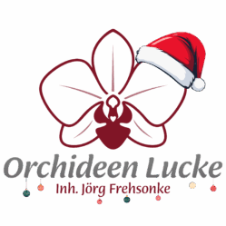 Orchideen Lucke