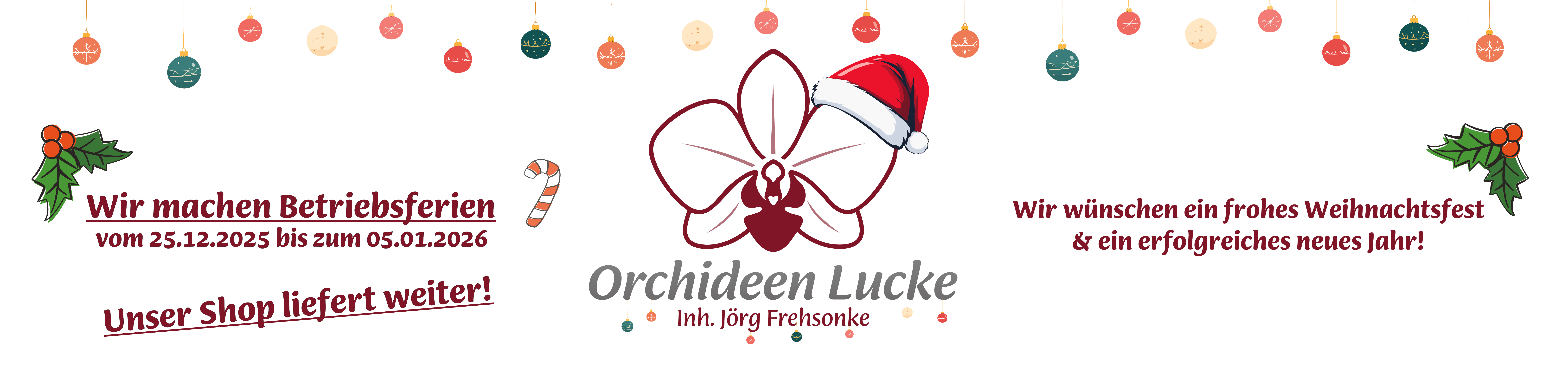 Orchideen Lucke